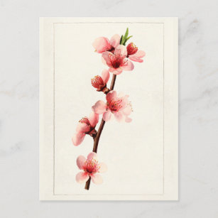 Peach Pink Flowers Watercolor Painting Postcard