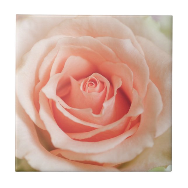 Peach Pink Rose Background Customized Template Tile (Front)