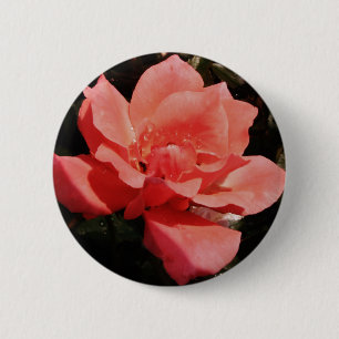 peach rose and dewdrops 2 inch round button
