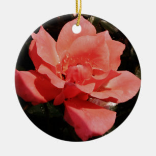 peach rose and dewdrops ceramic ornament