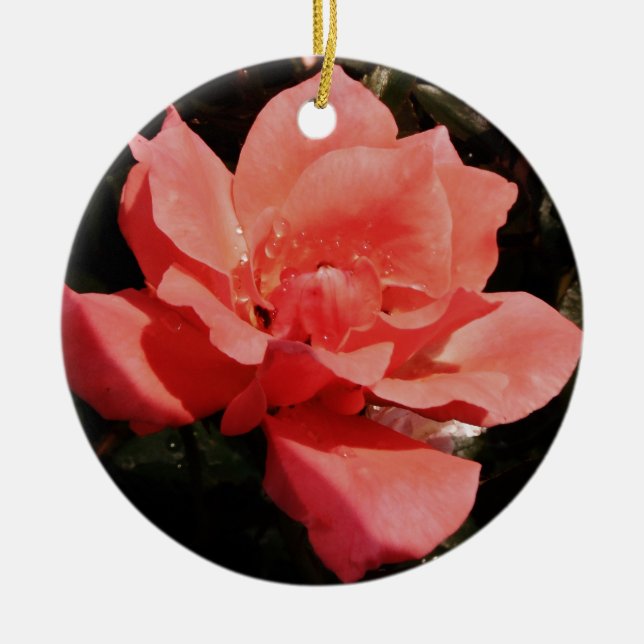 peach rose and dewdrops ceramic ornament (Front)