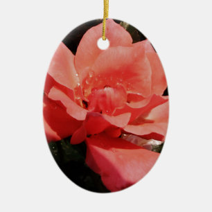 peach rose and dewdrops ceramic ornament