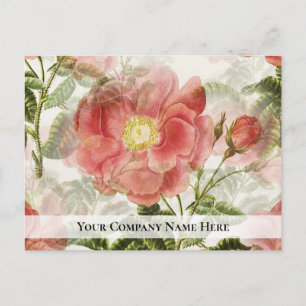 Peach Rose Business Survey Feedback Carte postale