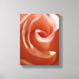 Peach Rose Canvas Print