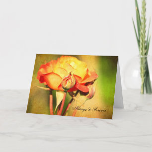 Peach Rose Card