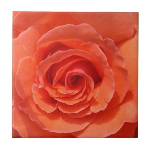 Peach rose ceramic photo tile