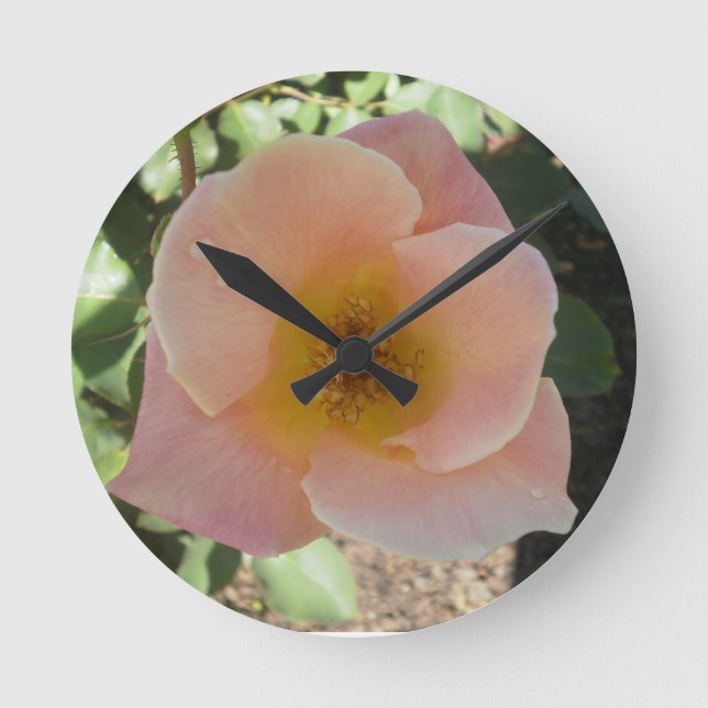 Peach Rose Clock (Front)