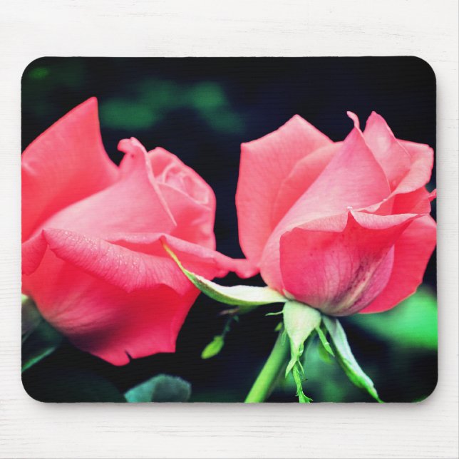 Peach Rose Duo Flower  Mouse Pad (Front)