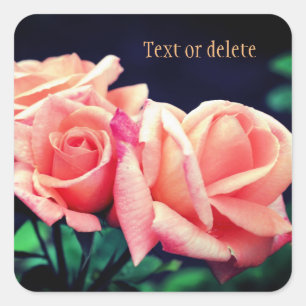 Peach Rose Flower Personalized Square Sticker