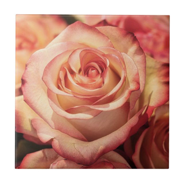 Peach Rose Flower Tile (Front)