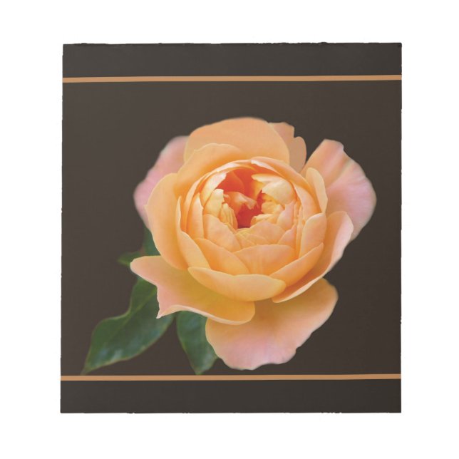 Peach Rose Macro Notepad (Front)