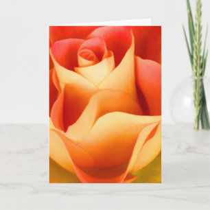 Peach Rose Note Card