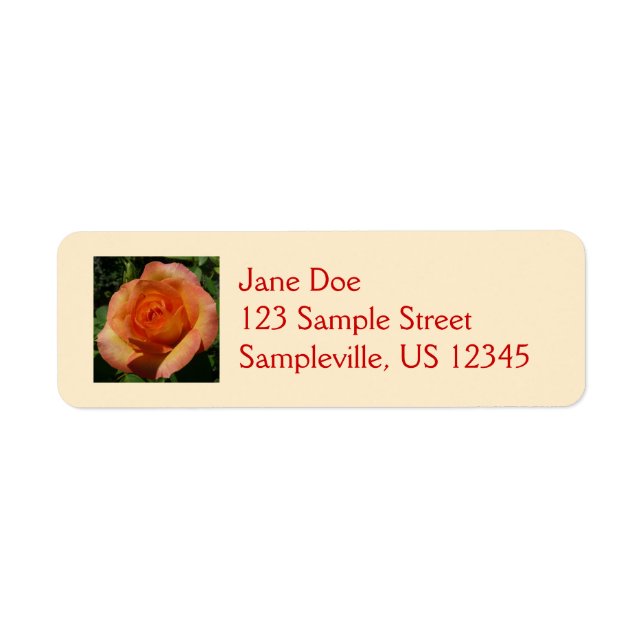Peach Rose Orange Floral Photographie (Devant)