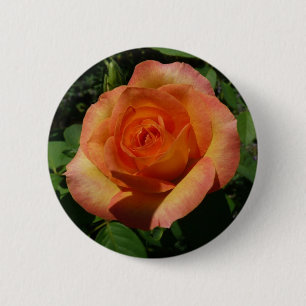 Peach Rose Orange Floral Photography 2 Inch Round Button