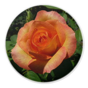 Peach Rose Orange Floral Photography Ceramic Knob