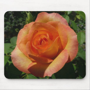 Peach Rose Orange Floral Photography Mouse Pad