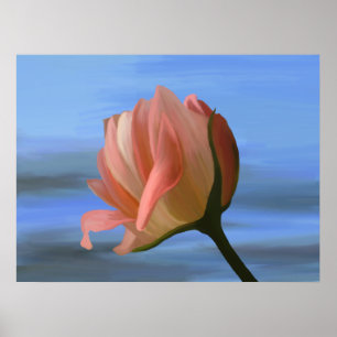 Peach Rose Print