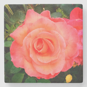 Peach rose stone coaster