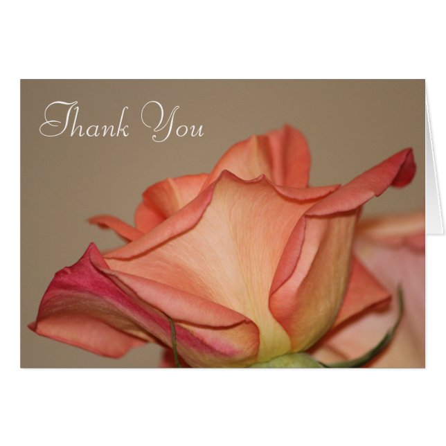 Peach Rose Stylish Card (Front Horizontal)