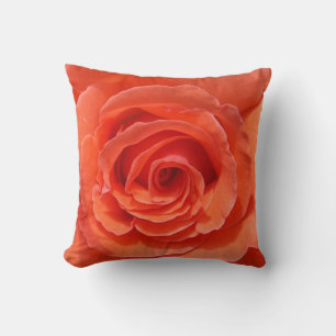 Peach rose throw pillow