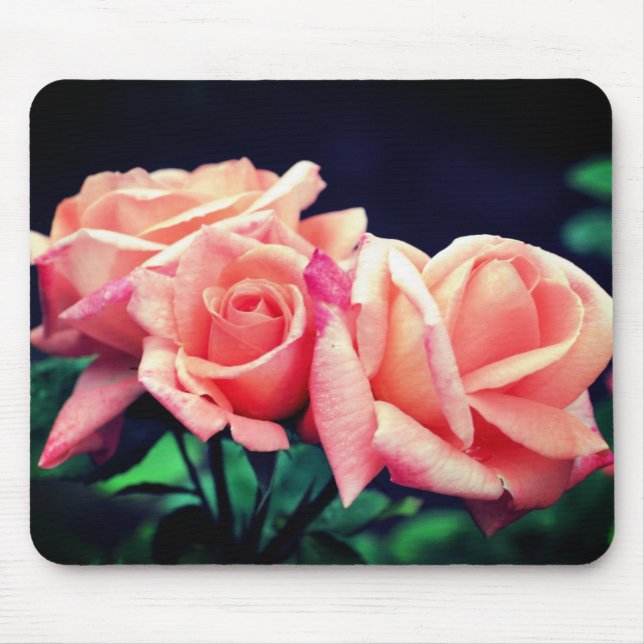 Peach Rose Trio Flower  Mouse Pad (Front)