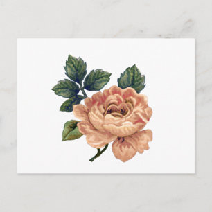 Peach Rose - Vintage Makeover. Postcard
