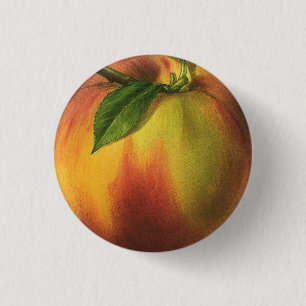Peach Small, 1¼ Inch Round Button