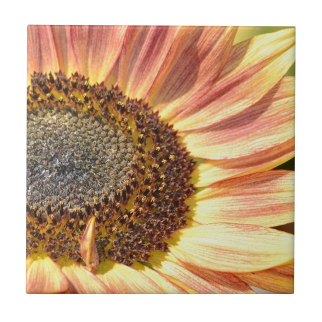 Peach Sunflower Tile (Front)