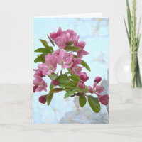 Peach Tree Blossoms Blank Card