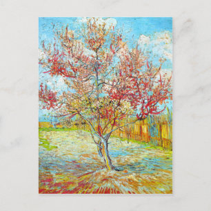 Peach Tree in Bloom at Arles, Van Gogh Postcard