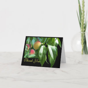 Peach Tree Thank You Card