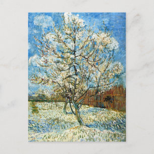 Peach Trees in Blossom Vincent Van Gogh Postcard