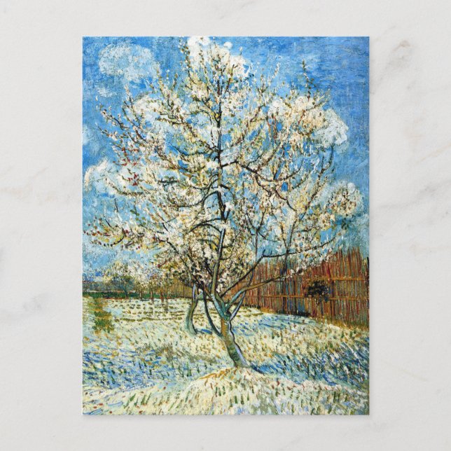 Peach Trees in Blossom Vincent Van Gogh Postcard (Front)