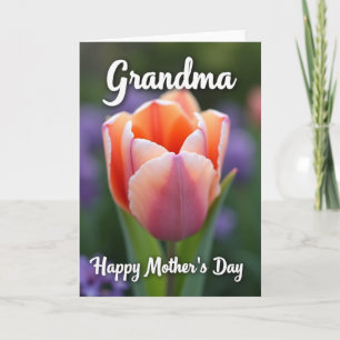Peach Tulip Grandma Mothers Day Card