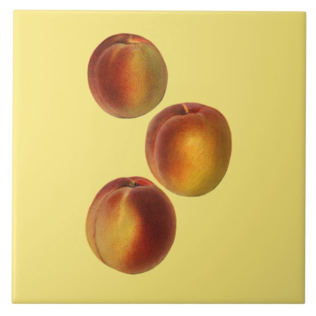 Peaches Botanical ~ Kitchen ~ Any Colour Backgroun Tile (Front)