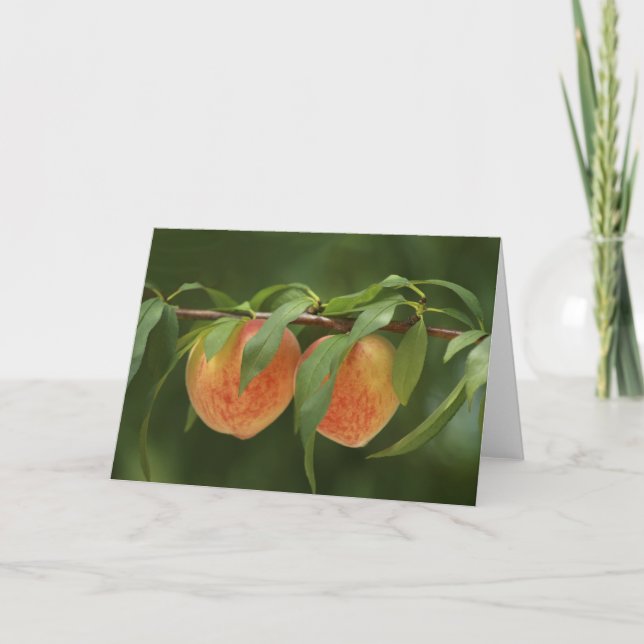 Peaches Card (Front)