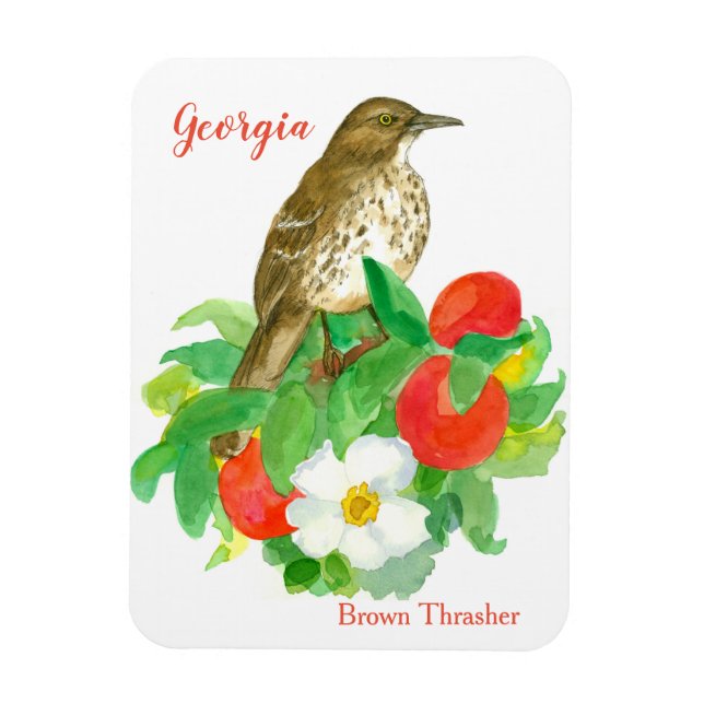 Peaches Cherokee Rose Bird Watercolor Magnet (Vertical)