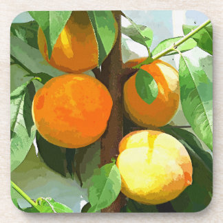 PEACHES COASTER