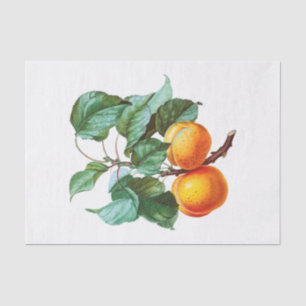Peaches on a Branch Tissue Paper