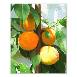 PEACHES PHOTO PRINT