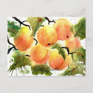 Peaches! Postcard