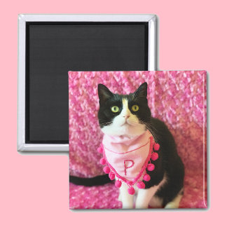 Peaches the Tuxedo Cat Pink Magnet