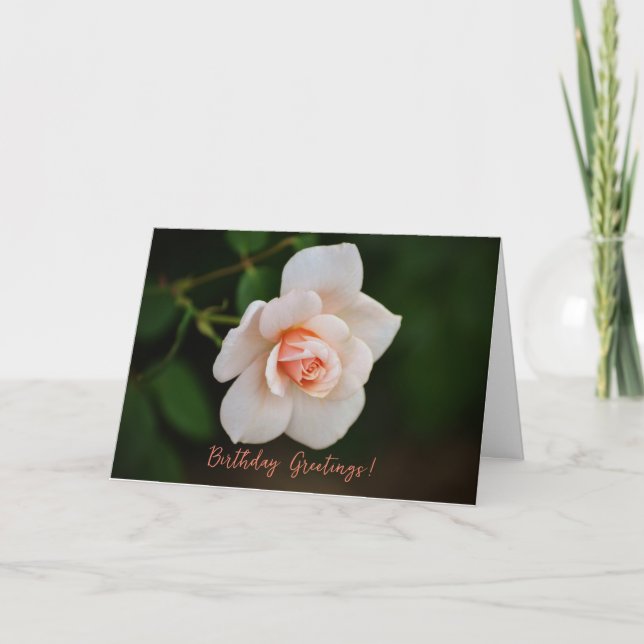 Peacht rose petit Rose carte d'anniversaire (Devant)