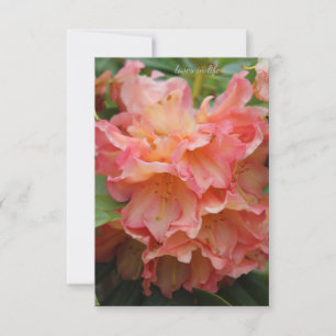 Peachy Coloured Rhododendron Card