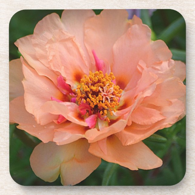 Peachy Flower Coaster (Front)