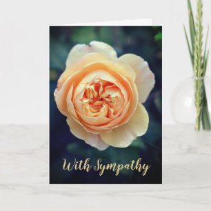 Peachy Orange Garden Rose Flower With Sympathy Card