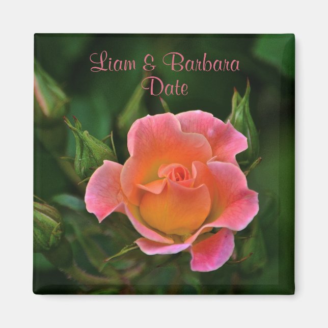 Peachy Pink Wedding Rose Magnet (Front)