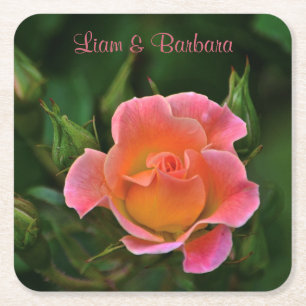 Peachy Pink Wedding Rose Square Paper Coaster