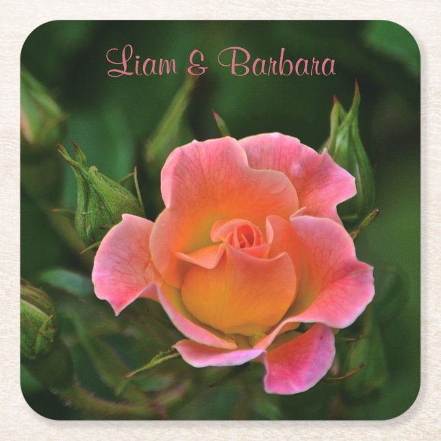Peachy Pink Wedding Rose Square Paper Coaster (Front)