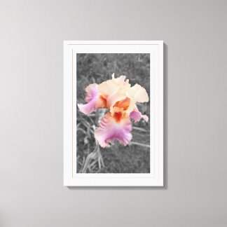 Peachy Purple Canvas Print
